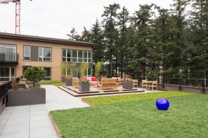 The Rook on Carter's Rooftop is the perfect place to relax and truly enjoy the trees of Redmond's protected Heron Rookery!